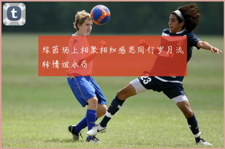 绿茵场上相聚相知感恩同行岁月流转情谊永存