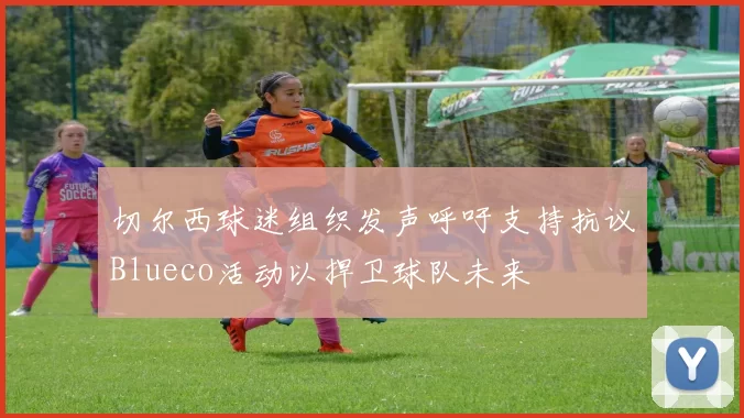 切尔西球迷组织发声呼吁支持抗议Blueco活动以捍卫球队未来