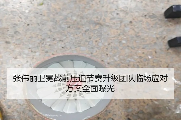张伟丽卫冕战前压迫节奏升级团队临场应对方案全面曝光（kaiyun）